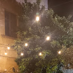 Photo n°2 de l'avis de Marco.r fait le 30/03/2024 à 19:21 sur le  Oblio Bistrot à Crotone