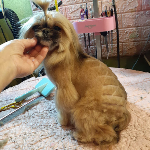 Opiniones de J en Maipú - Peluquería