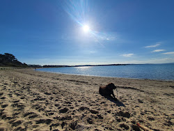 Ballyholme Beach'in fotoğrafı - rahatlamayı sevenler arasında popüler bir yer
