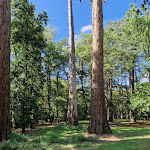 Photo n° 22 de l'avis de Johann.h fait le 13/08/2023 à 18:14 pour Château de la Bourdaisière à Montlouis-sur-Loire