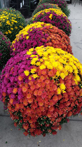 Garden Center «Binghamton Agway», reviews and photos, 145 Broad Ave, Binghamton, NY 13904, USA