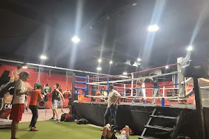 Ferocious Fitness Boxing Gym image