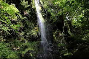 Mallyan Spout Waterfall image