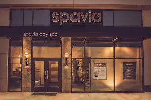 Spavia Day Spa - Rookwood image