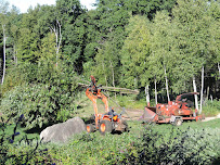 M Flagg Tree Services