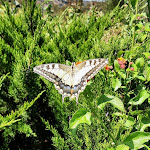 Photo n°1 de l'avis de Pietro.a fait le 29/08/2021 à 16:30 sur le  Hotel Parco degli Ulivi à Scerne