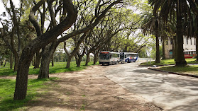 Terminal Sanatorio Saint Bois