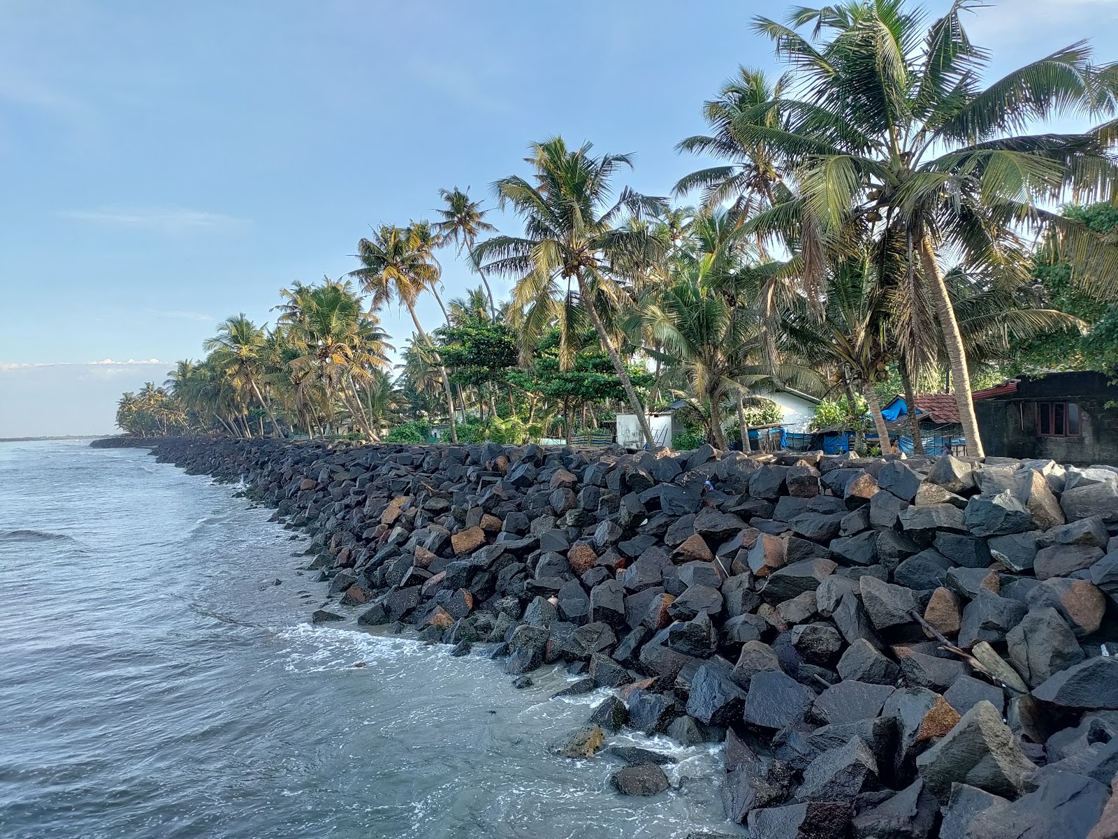 Chappakkadavu Beach photo #8