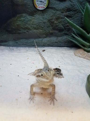 Pet Supply Store «Petco Animal Supplies», reviews and photos, 10 Sylvan St, Peabody, MA 01960, USA