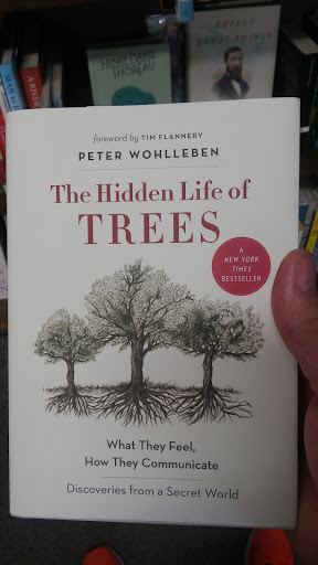 Book Store «Back of Beyond Book Store», reviews and photos, 83 N Main St, Moab, UT 84532, USA