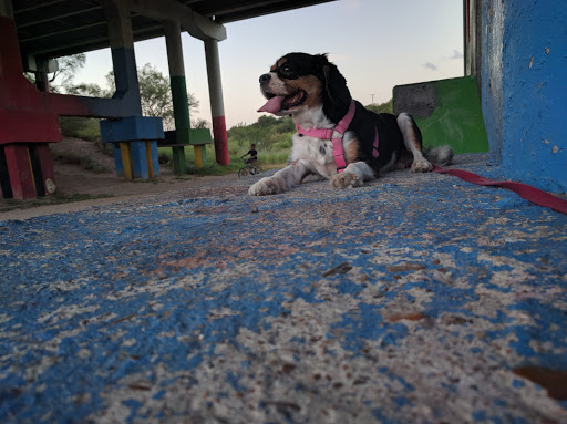 Park «McKelvey Park», reviews and photos, 1325 S 77 Sunshine Strip, Harlingen, TX 78550, USA