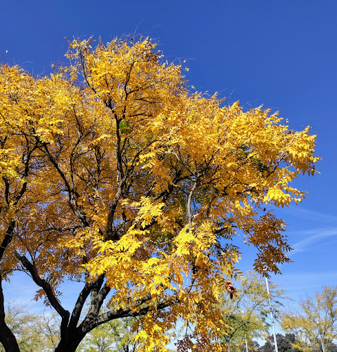 Movie Theater «Harkins Theatres Prescott Valley 14», reviews and photos, 7202 Pav Way, Prescott Valley, AZ 86314, USA