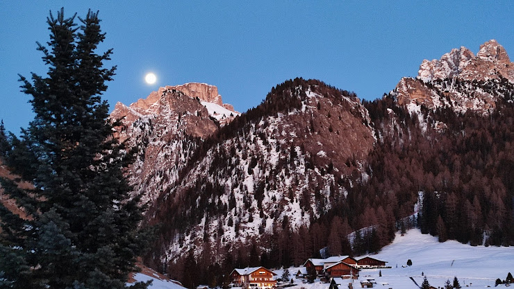 Les plus récentes Appartamenti Cunfolia Arnold Col Larciunëi 39048 Sëlva