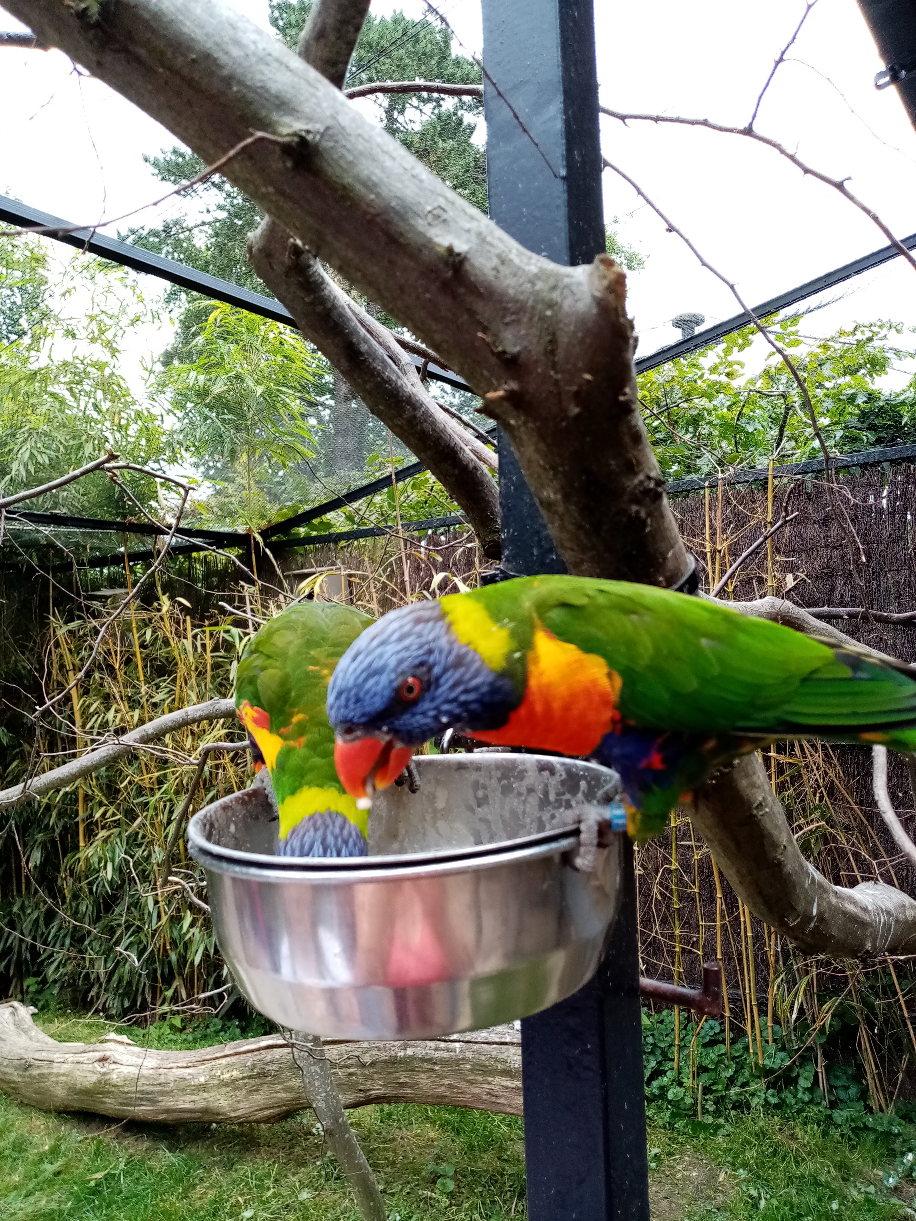 Photo n° 7 de l'avis de Marielaure.a fait le 25/07/2023 à 19:08