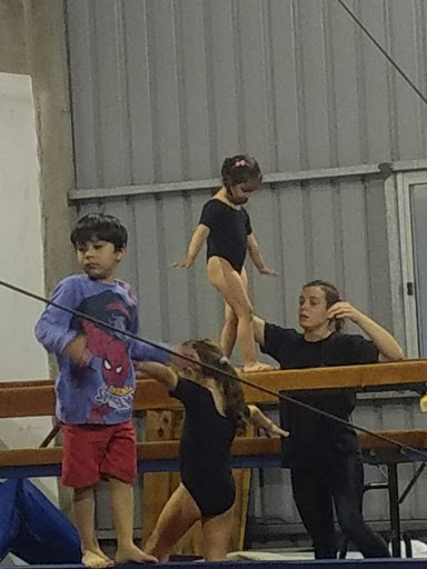 Gymnastic School Development EDG