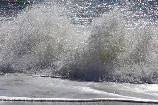 State Park «Cape May Point State Park», reviews and photos, Light House Ave, Cape May Point, NJ 08212, USA