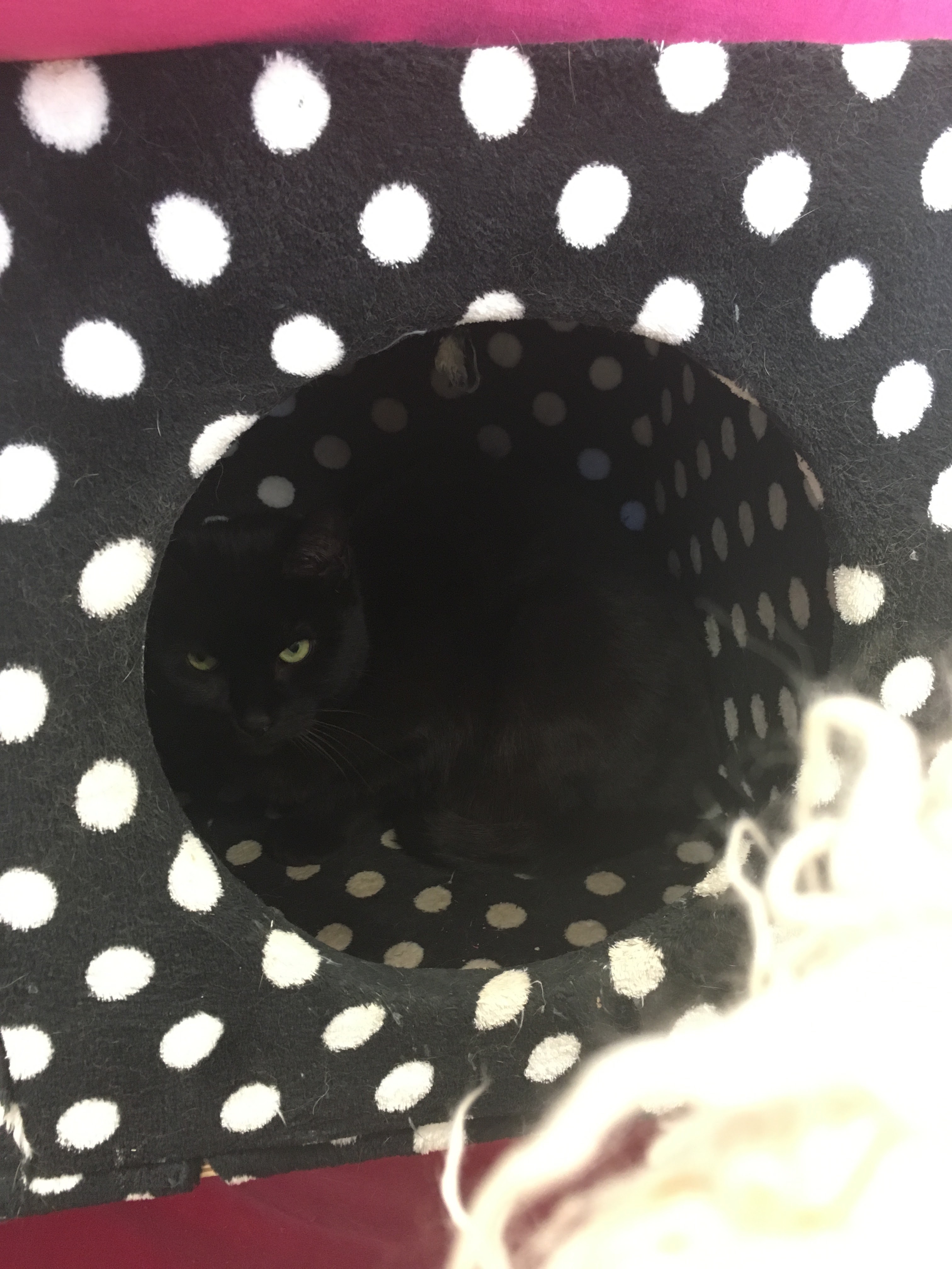 Photo n° 2 de l'avis de Valentin. fait le 24/02/2019 à 13:09
