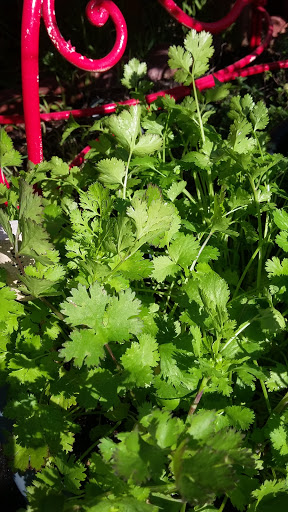 Book Store «Pipe & Thimble Bookstore», reviews and photos, 24830 Narbonne Ave, Lomita, CA 90717, USA