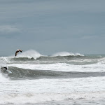 Photo n° 1 de l'avis de Jean-Baptiste.o fait le 26/09/2022 à 16:04 pour Mimisurfschool - Ecole De Surf Biarritz à Biarritz