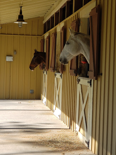 Stable «Lawton Stables», reviews and photos, 190 Greenwood Dr, Hilton Head Island, SC 29928, USA