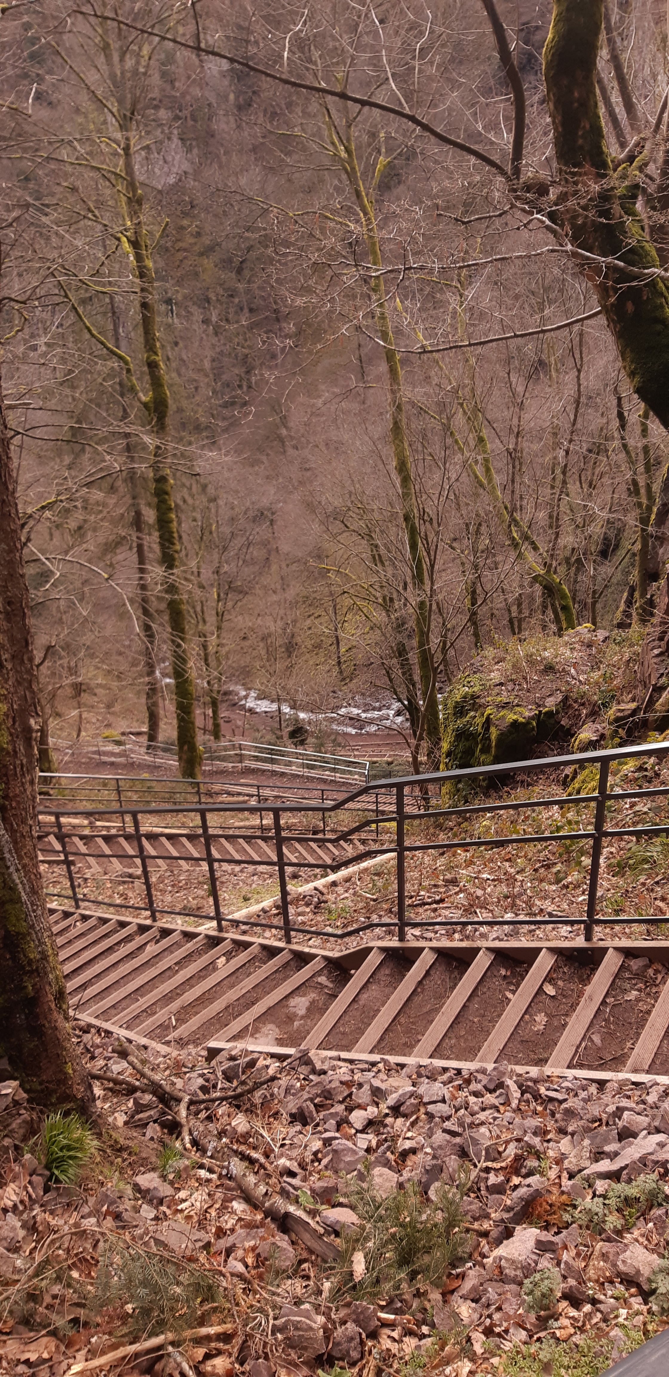 Photo n° 6 de l'avis de Pierre.U fait le 07/03/2020 à 12:32