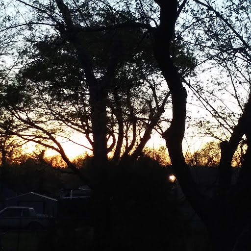 Park «Grimes Park», reviews and photos, 501 E Wintergreen Rd, DeSoto