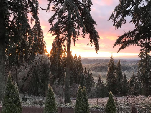 Winery «Noble Estate Vineyard and Winery», reviews and photos, 29210 Gimpl Hill Rd, Eugene, OR 97402, USA