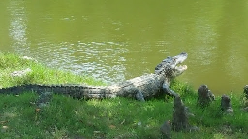 Golf Course «Santa Maria Golf Course», reviews and photos, 18460 Santa Maria Pkwy, Baton Rouge, LA 70810, USA