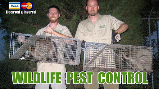 Oakland Wildlife Pest Control