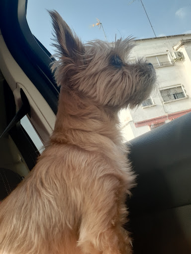 Clínica Veterinaria El Duque S.l en Jerez de la Frontera