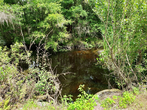 Nature Preserve «Triple Creek Nature Preserve», reviews and photos, 13112 Balm Boyette Rd, Riverview, FL 33579, USA