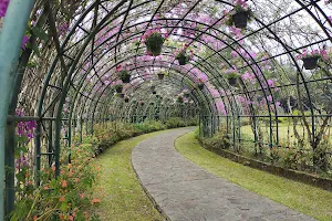 Taman Bunga Nusantara image