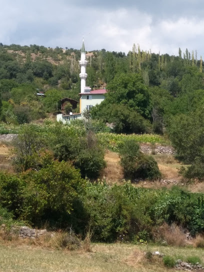 Çorum ili Kargı ilçesi Pelitçik Köyü Hacılar Mahallesi Camii