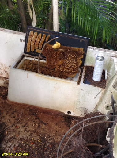 Pest Control Service «Critter Control of Miami», reviews and photos