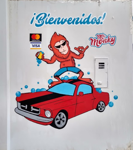 Opiniones de Mr. Monky Car Wash en Cajamarca - Servicio de lavado de coches