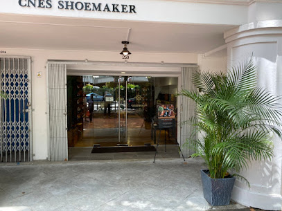 CNES Shoemaker International