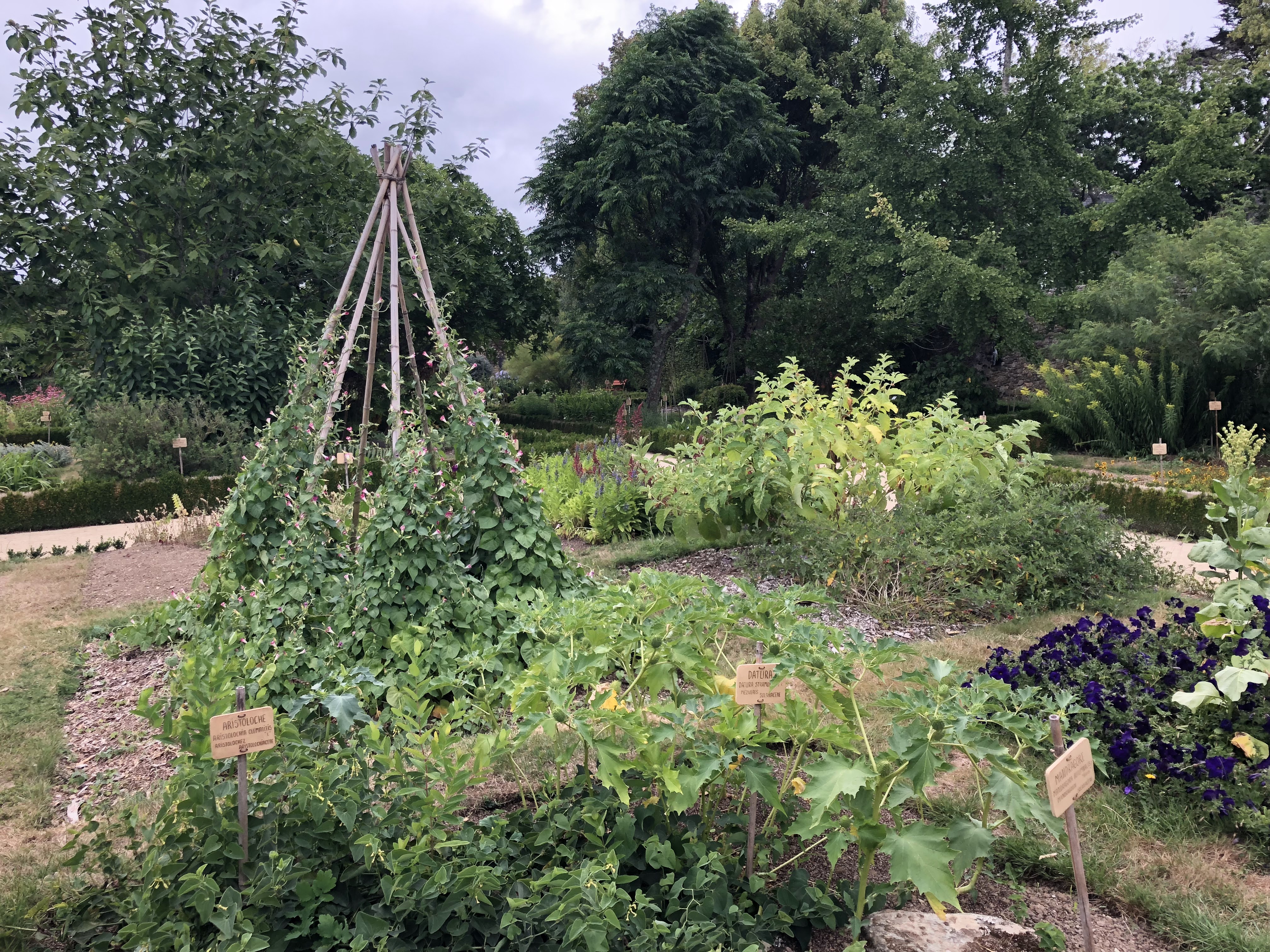 Photo n° 9 de l'avis de Alan.u fait le 28/07/2018 à 18:25