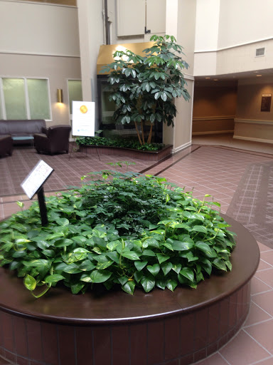 Florist «House of Plants Florist Inc», reviews and photos, 1670 Merriman Rd, Akron, OH 44313, USA