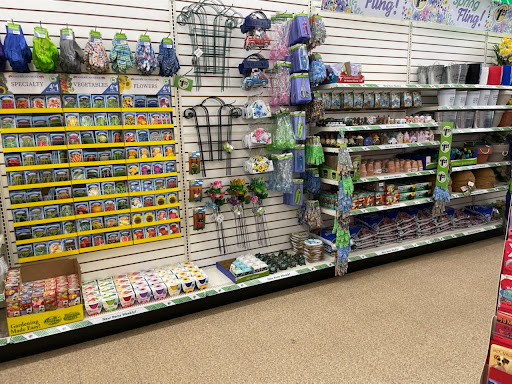 Dollar Store «Dollar Tree», reviews and photos, 3223 Lincoln Hwy, Thorndale, PA 19372, USA