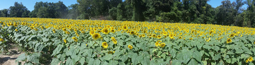 Hardware Store «F N Smith Hardware», reviews and photos, 3803 Norrisville Rd, Jarrettsville, MD 21084, USA