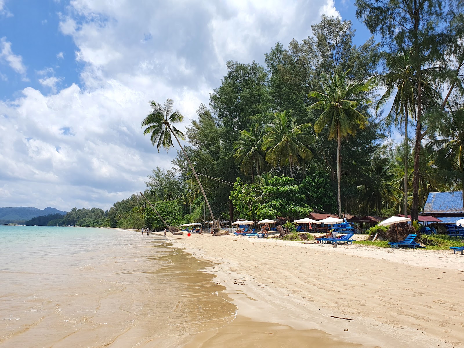 Fotografija Kokosova Plaža udobje območja