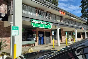 Aquarium Co-op image