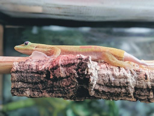 Pet Supply Store «The Animal Connection», reviews and photos, 2550 2550 Judah St & 31st Ave, San Francisco, CA 94122, USA