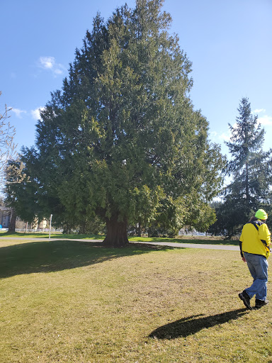 Park «Meridian Habitat Park & Community Center», reviews and photos, 14422 Meridian E, Puyallup, WA 98375, USA