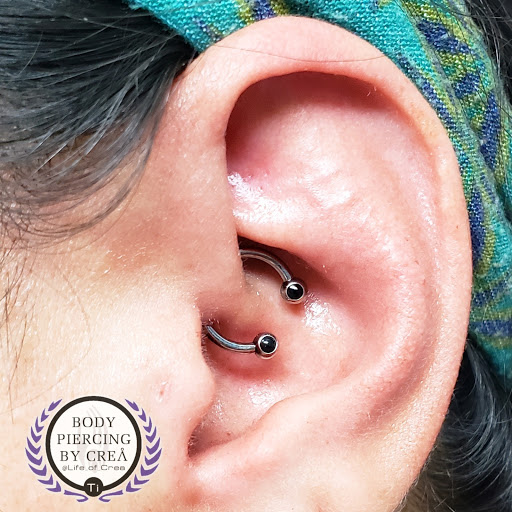 Explore filler sleeve tattoo ideas, creative tattoo ideas in Sarasota, available at Z-Edge Tattoo and Body Piercing North Shop