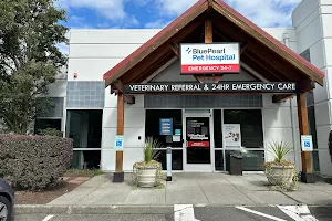 BluePearl Pet Hospital image