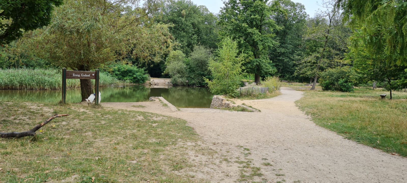 Photo n° 1 de l'avis de Marie.a fait le 15/11/2021 à 14:08