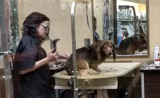 Pet Supply Store «PetSmart», reviews and photos, 533 S Tracy St, Wichita, KS 67209, USA