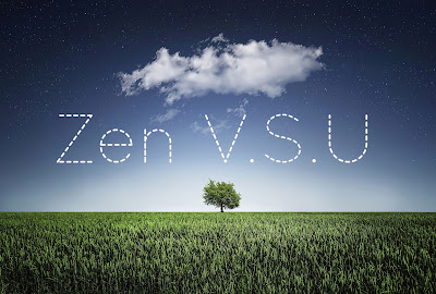 ZENVSU à Mougins