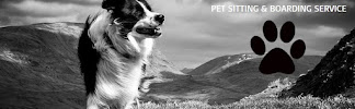 Sandy's Pet Service - Photo 7 - Car repair in Concord, NC, Concord